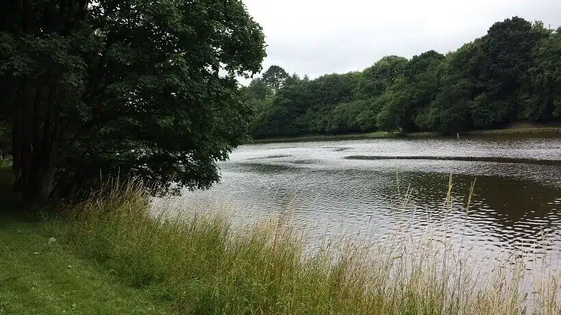 entretien parc herbes hautes